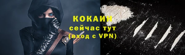 ПСИЛОЦИБИНОВЫЕ ГРИБЫ Богданович